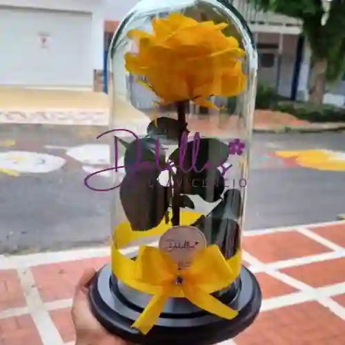 Rosa Preservada Amarilla🌻🌻