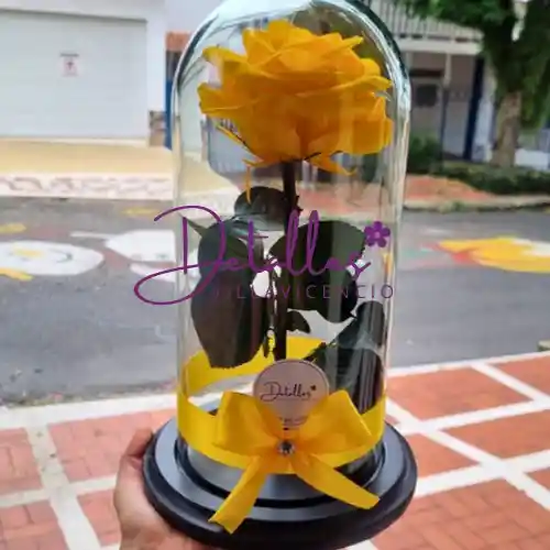 Rosa Preservada Amarilla🌻🌻