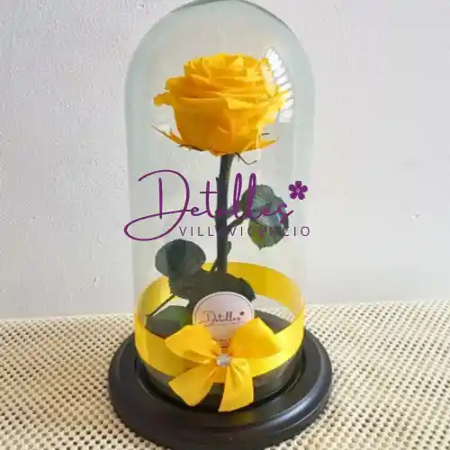 Rosa Preservada Amarilla🌻🌻