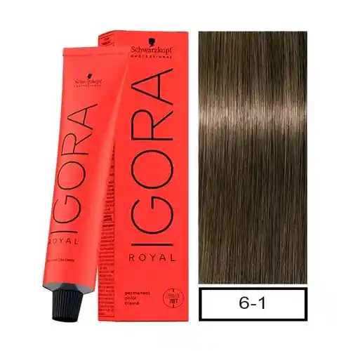 6.1 Rubio Oscuro Ceniza - 50986 - Igora
