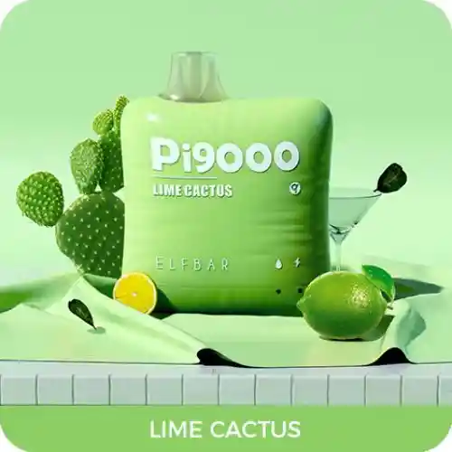 Elfbar Lime Cactus 9000puff