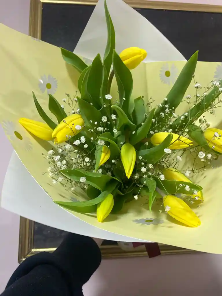 Tulipanes Amarillo 9 Und