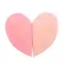 Esponja Trendy Corazón Ref Mshg-2