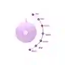 Huevo Vibrador Concha