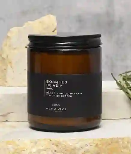 Vela Aromática Bosque De Asia