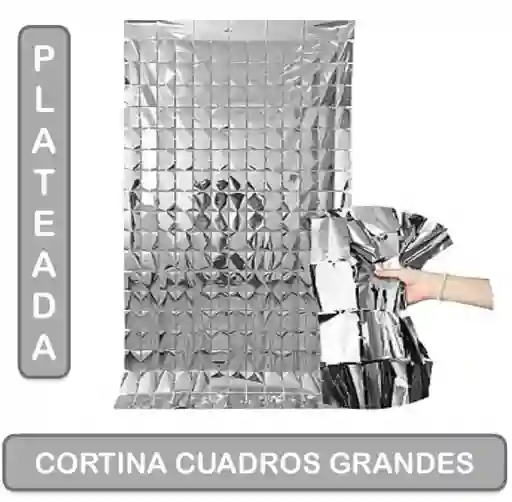 Cortina De Cumpleaños Plateada Metalizada - Cuadros Grandes
