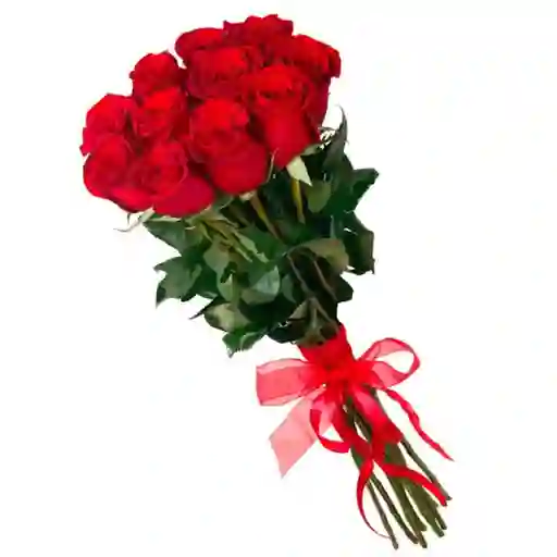 Pasión Eterna – Ramo De 12 Rosas Rojas 🌹❤️