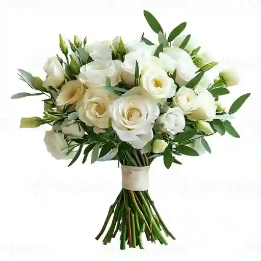 Elegancia Blanca