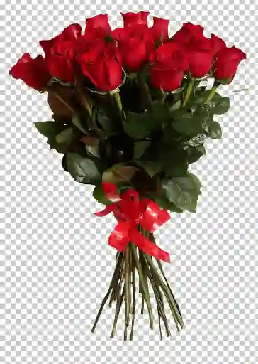 Rosas Ardientes