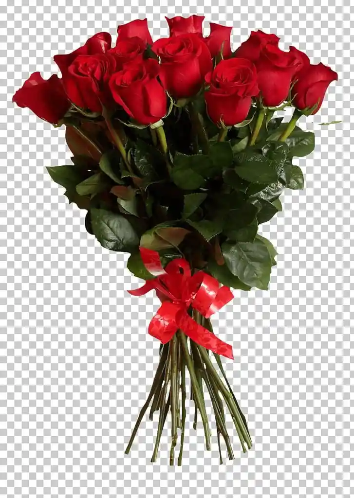 Rosas Ardientes