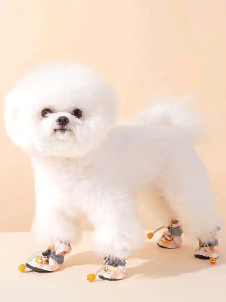 Zapatos Antideslizantes Ajustables Para Mascotas Talla B