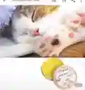 Humectante Para Almohadillas De Las Patas De Perro Y Gato