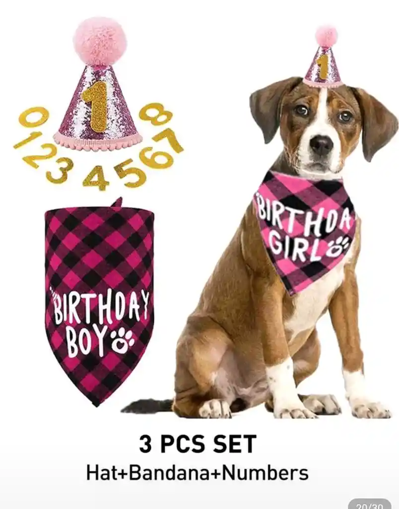 Set Cumpleaños De Mascotas Set De Pañuelo Sombrero