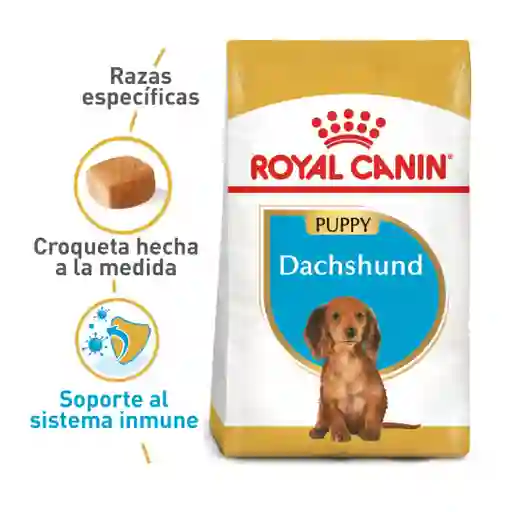 Alimento Royal Canin Bhn Dachshund Puppy 1.13kg