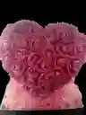Corazón De Fomi