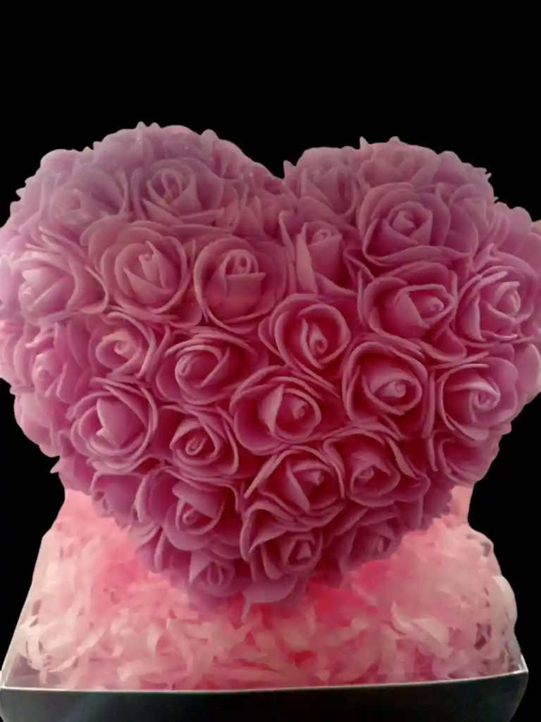 Corazón De Fomi