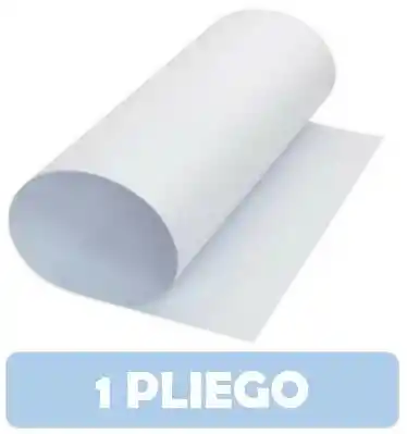 Pliego Cartulina Blanca