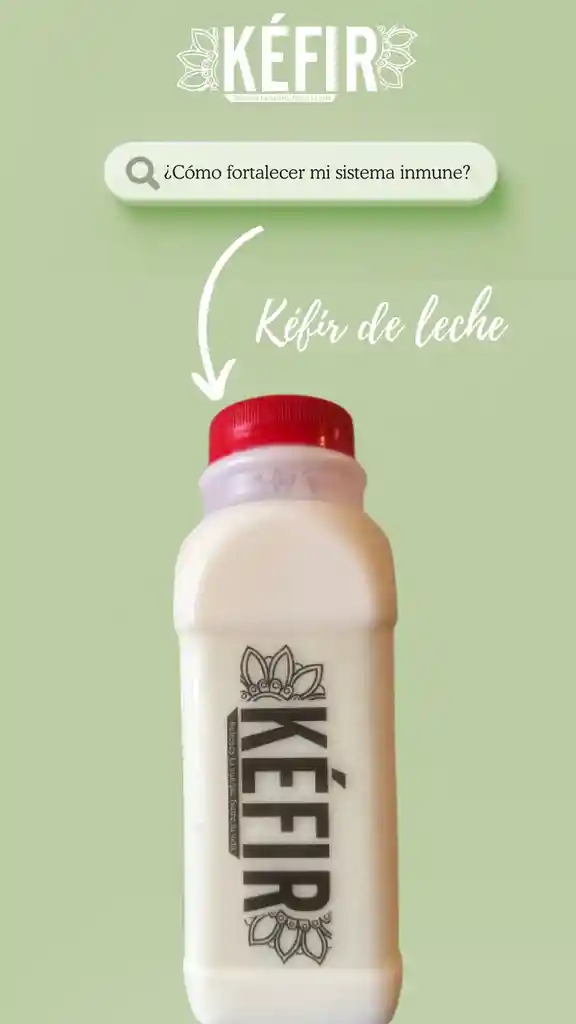 Kefir De Leche Sabor Natural Personal