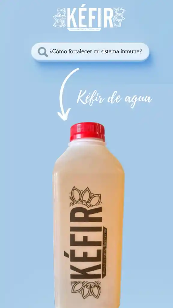 Kefir De Agua Y Manzana