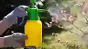 Insecticida Orgánico