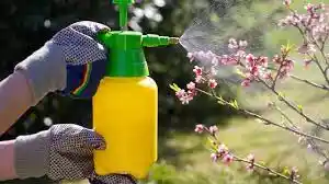 Insecticida Orgánico