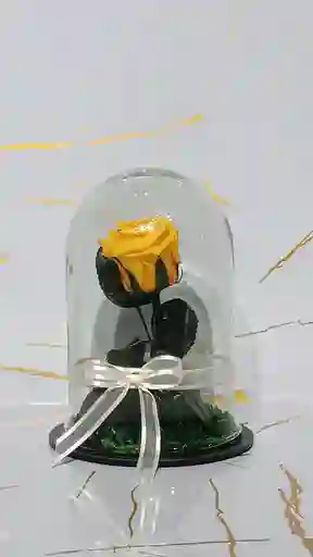 Mini Cápsula De Rosa Amarilla Eterna