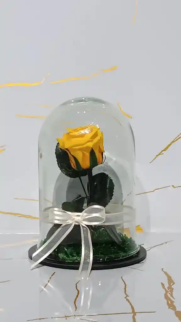 Mini Cápsula De Rosa Amarilla Eterna