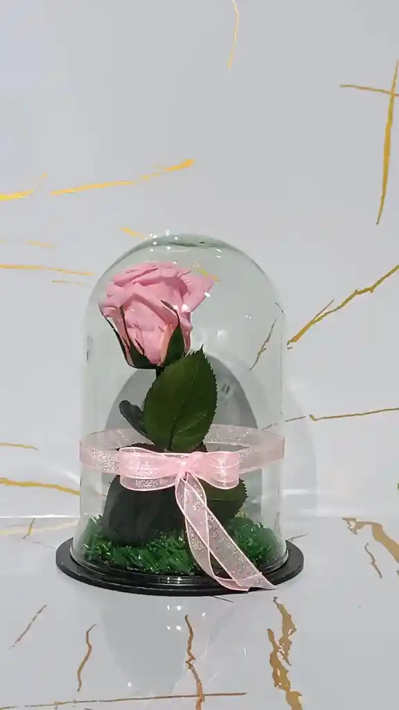 Mini Cápsula De Rosa Rosada Eterna