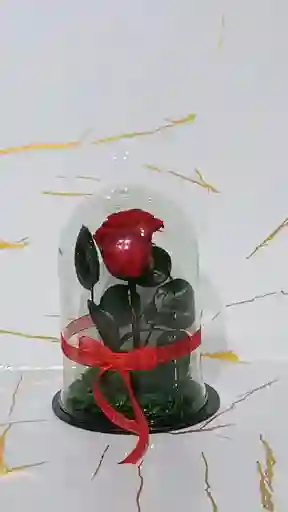 Mini Cápsula De Rosa Roja Eterna