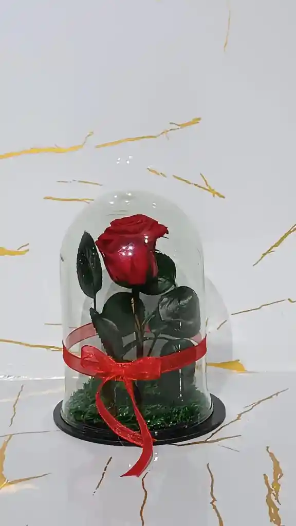 Mini Cápsula De Rosa Roja Eterna