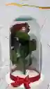 Cápsula De Rosa Roja Eterna