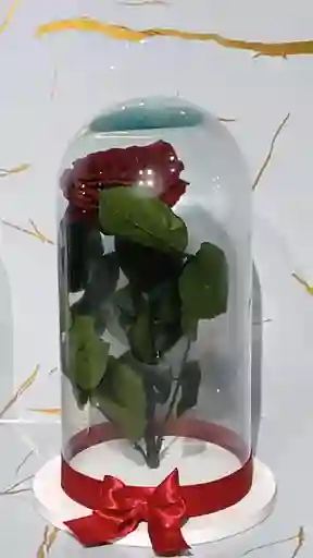 Cápsula De Rosa Roja Eterna