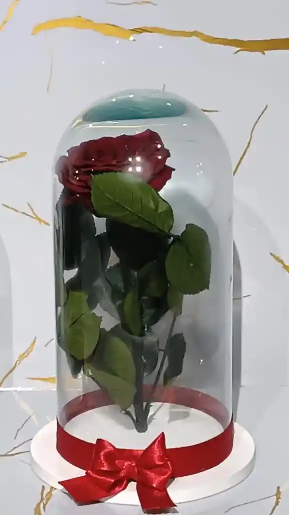 Cápsula De Rosa Roja Eterna