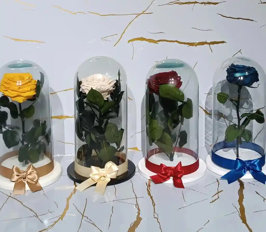 Capsula De Rosa Azul Eterna