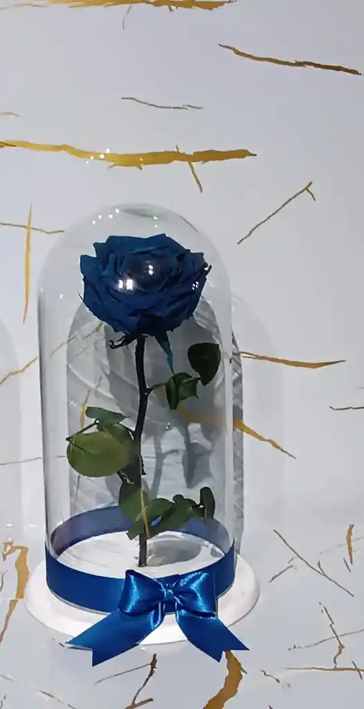 Capsula De Rosa Azul Eterna