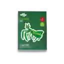 Kocodío Flash Cards Bichos