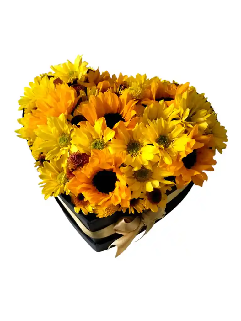 Corazón De Margaritas Y Girasol