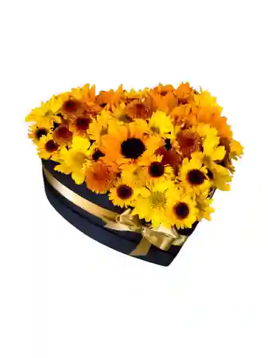 Corazón De Margaritas Y Girasol