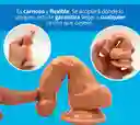 Dildo Consolador Venoso Realista Armany Sexo Anal Juguete Erotico Pene Real Con Chupa Ventosa