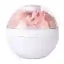 Mini Humidificador 130 Ml Difusor Aroma Flores Decoración