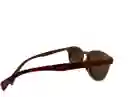 Gafas De Sol