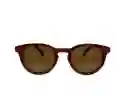 Gafas De Sol