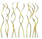 Vela Espiral X10 Dorada