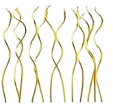 Vela Espiral X10 Dorada