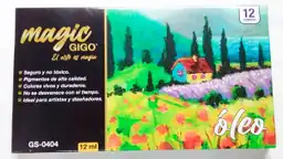 Set De Oleos X 12 Und