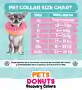 Collar Isabelino Dona Perro Talla Xl