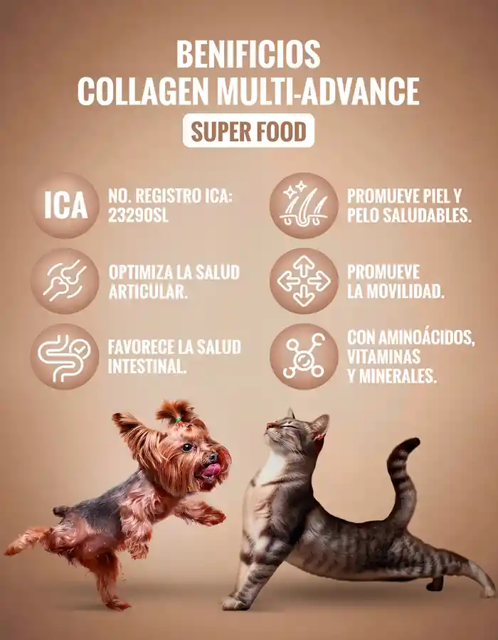 Suplemento Para Fortalecer La Movilidad Y Articulaciones De Tu Mascota | Colágeno Multi-advance