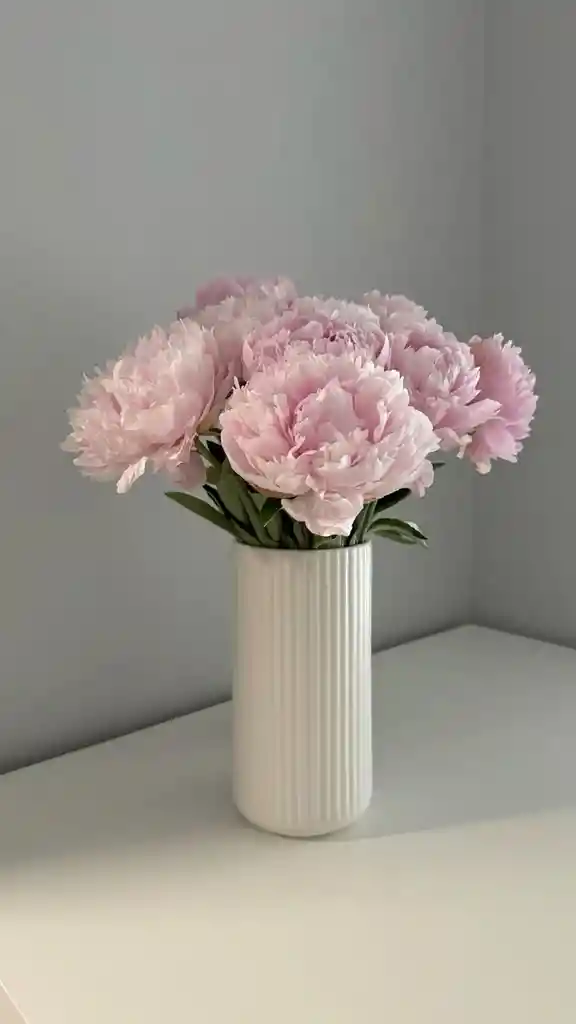 Jarrón De Claveles Rosados