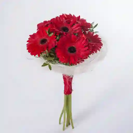 Bouquet De Gerbera Roja