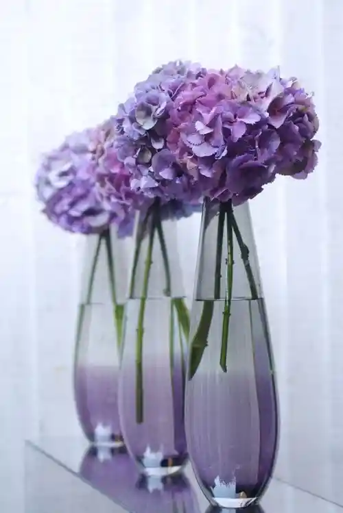 Jarrón Hortensia Morada